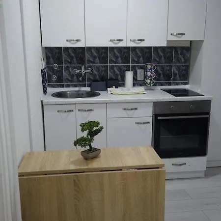 Bulevar Kneza Milosa Novi Sad